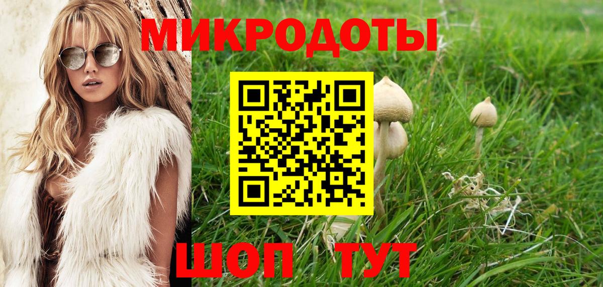 Апатиты  Галлюциногенные грибы GOLDEN TEACHER  Вход с VPN  что такое   Галлюциногенные грибы прущие грибы 
